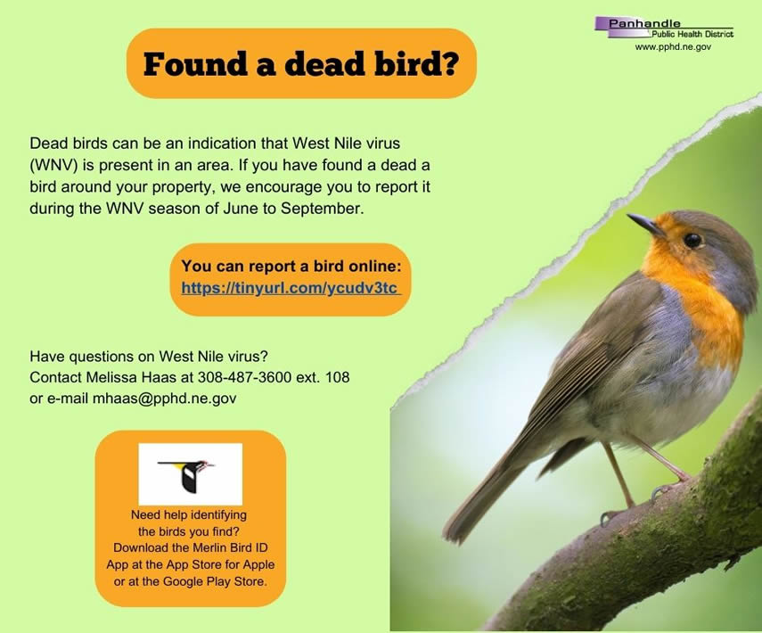 Report Dead Birds Info